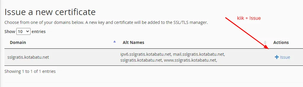 Klik issue untuk menerbitkan certificate SSL Lets Encrypt